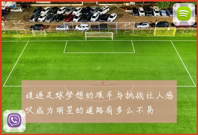 追逐足球梦想的艰辛与挑战让人感叹成为明星的道路有多么不易