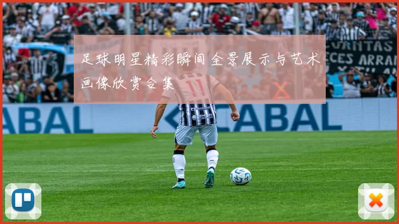 足球明星精彩瞬间全景展示与艺术画像欣赏合集