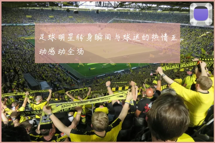 足球明星转身瞬间与球迷的热情互动感动全场