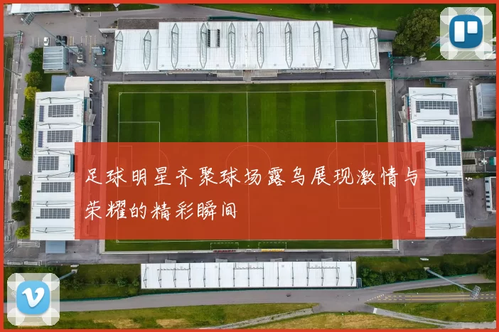 足球明星齐聚球场露乌展现激情与荣耀的精彩瞬间