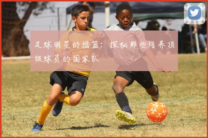 足球明星的摇篮：探秘那些培养顶级球员的国家队