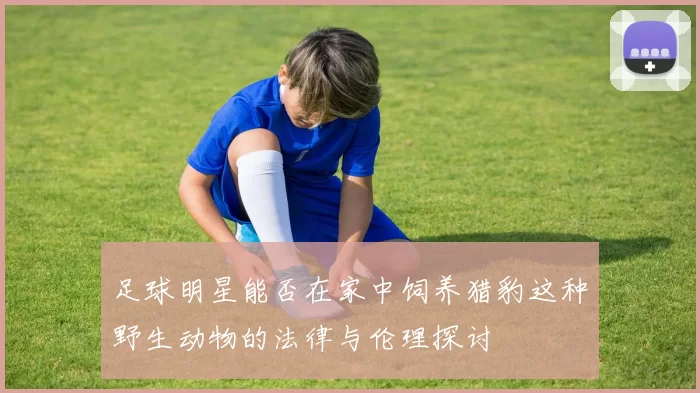 足球明星能否在家中饲养猎豹这种野生动物的法律与伦理探讨
