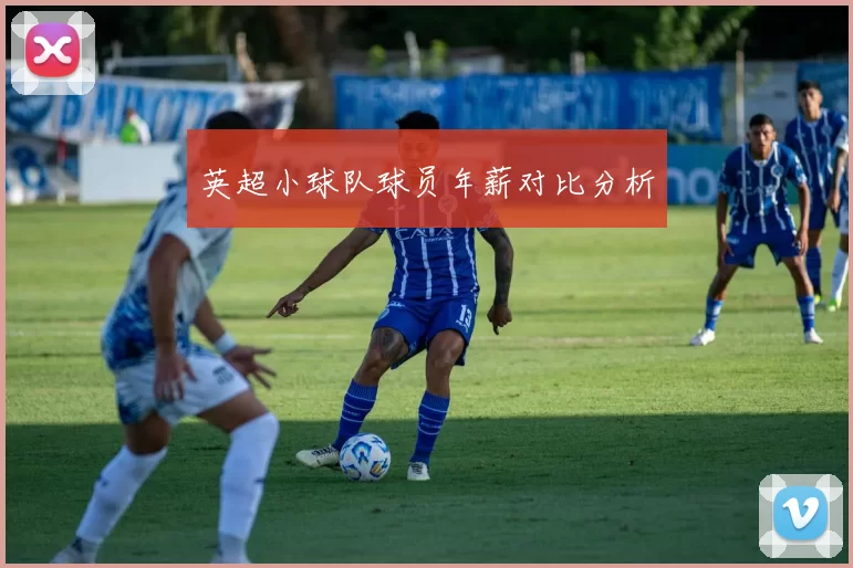 英超小球队球员年薪对比分析