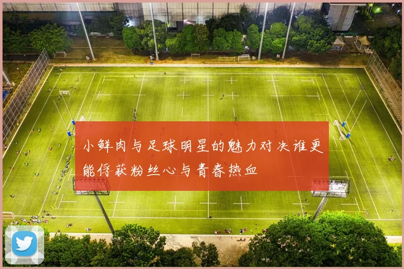 小鲜肉与足球明星的魅力对决谁更能俘获粉丝心与青春热血