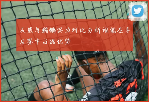 灰熊与鹈鹕实力对比分析谁能在季后赛中占据优势