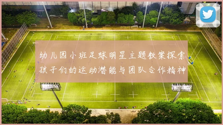 幼儿园小班足球明星主题教案探索孩子们的运动潜能与团队合作精神