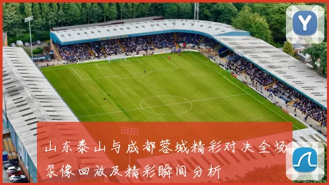 山东泰山与成都蓉城精彩对决全场录像回放及精彩瞬间分析