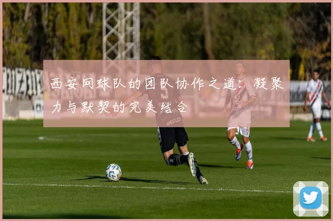 西安网球队的团队协作之道：凝聚力与默契的完美结合